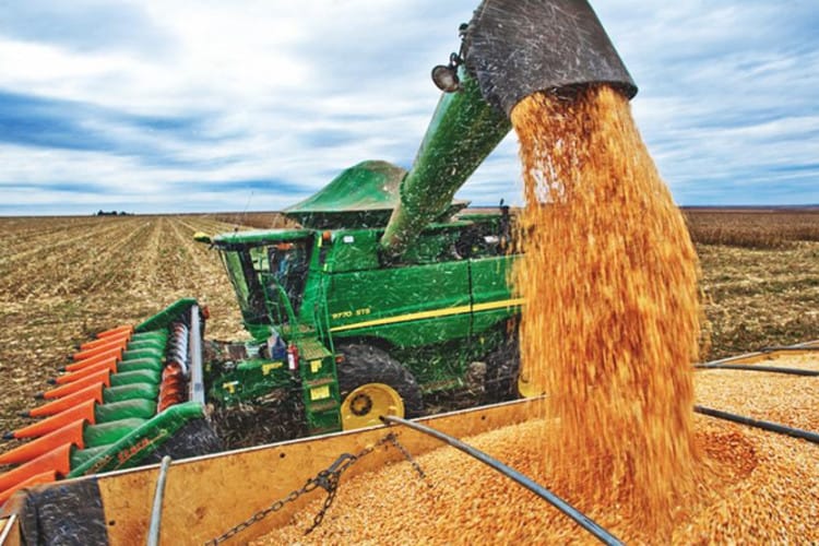 Colheita de milho atinge 15,8% da área em Mato Grosso do Sul e retoma ritmo após excesso de chuvas - Imagem do artigo